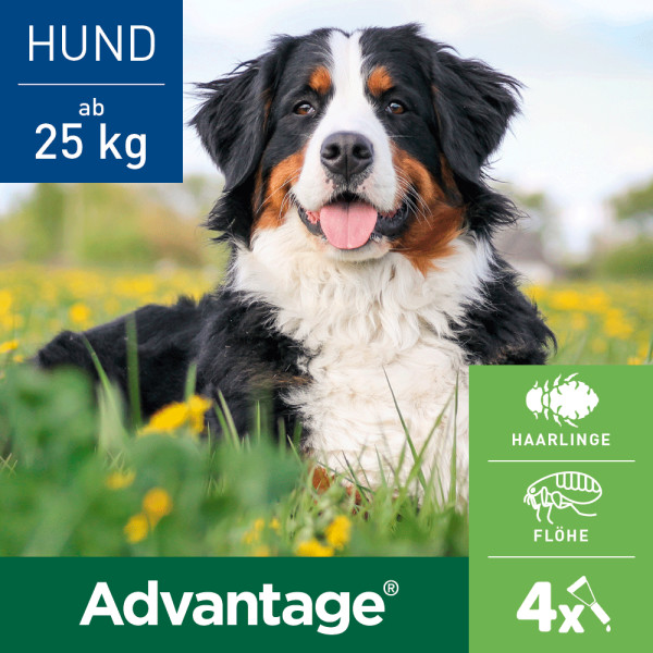 ADVANTAGE 400 Lösung Pipetten f.Hunde ab 25 kg