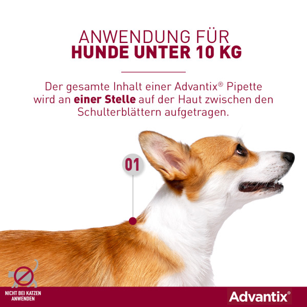 ADVANTIX Spot-on Lsg.z.Auftr.a.d.H.f.Hund 4-10 kg
