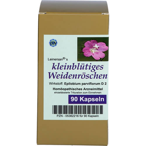 KLEINBLÜTIGES WEIDENRÖSCHEN Kapseln