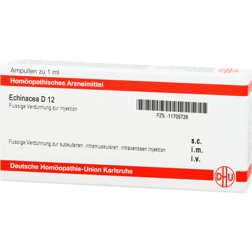 ECHINACEA D 12 Ampullen