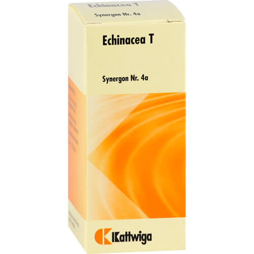 SYNERGON KOMPLEX 4a Echinacea T Tabletten