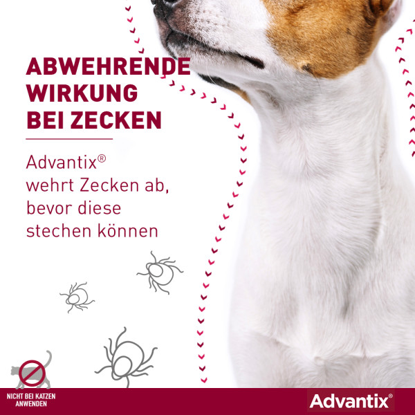 ADVANTIX Spot-on Lsg.z.Auftr.a.d.H.f.Hund 40-60 kg