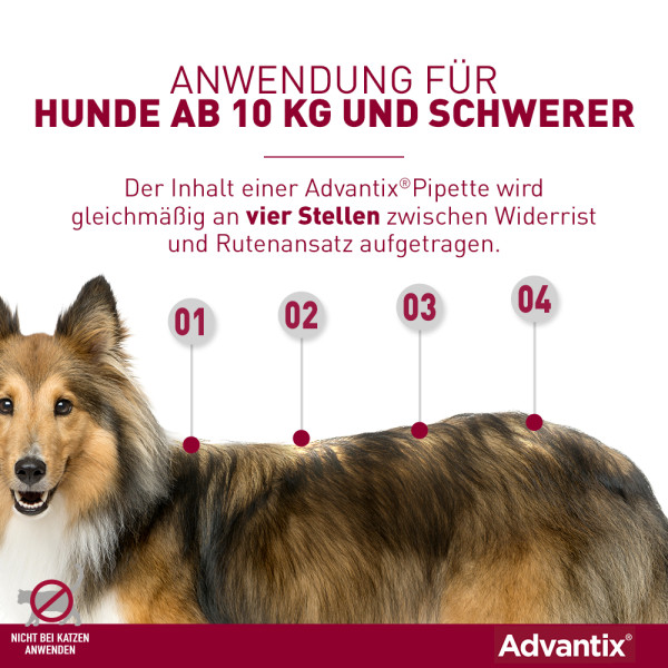ADVANTIX Spot-on Lsg.z.Auftr.a.d.H.f.Hund 40-60 kg
