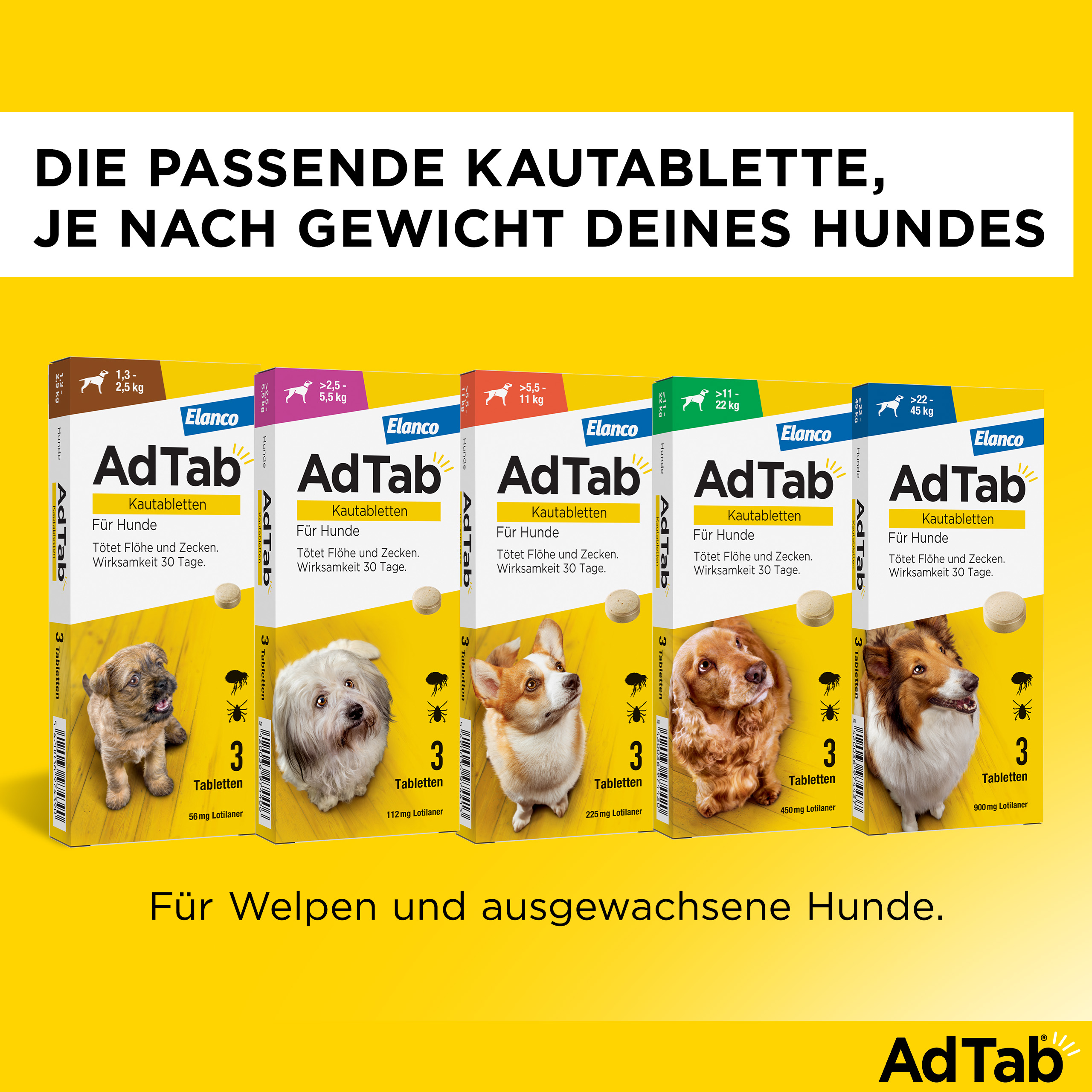 ADTAB 56 mg Kautabletten für Hunde 1,3-2,5 kg