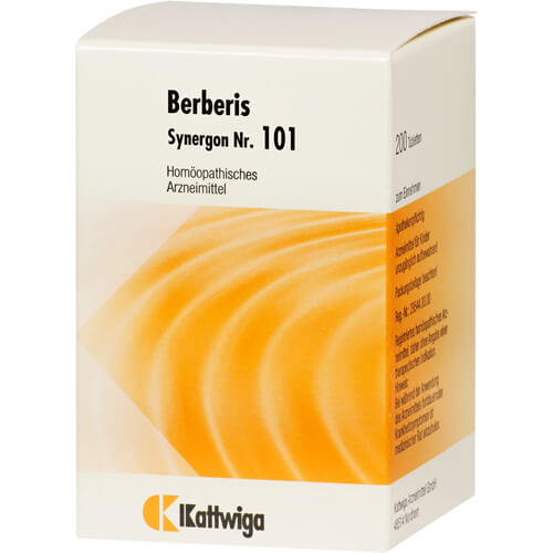 SYNERGON KOMPLEX 101 Berberis Tabletten