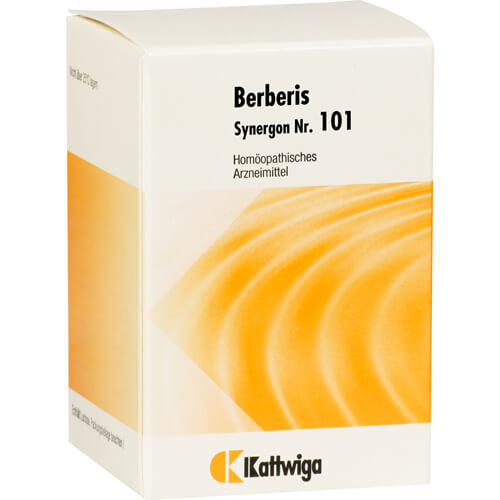 SYNERGON KOMPLEX 101 Berberis Tabletten