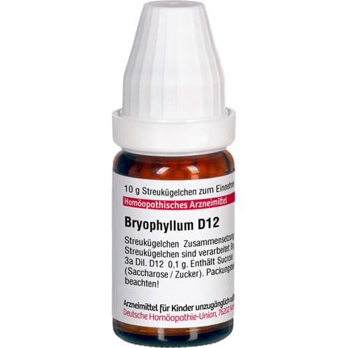 BRYOPHYLLUM D 12 Globuli